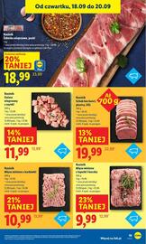 Lidl gazetka Strona 23