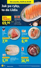 Lidl gazetka Strona 30