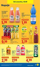 Lidl gazetka Strona 33