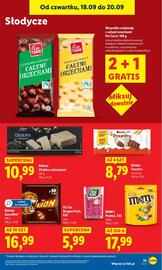 Lidl gazetka Strona 39