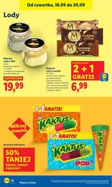 Lidl gazetka Strona 42