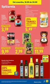 Lidl gazetka Strona 45