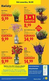 Lidl gazetka Strona 55