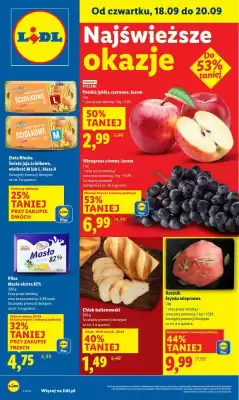 Lidl gazetka (ważność do 20-09)