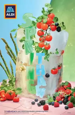 ALDI catalogue (valid until 25-12)