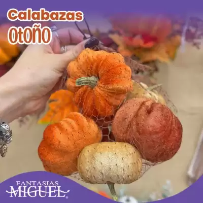 Catálogo Fantasías Miguel (válido hasta 17-09)