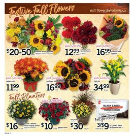 Fortinos flyer week 38 Page 13