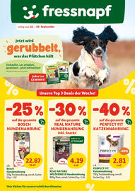 Fressnapf Flugblatt Seite 1