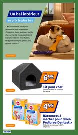 Catalogue Action semaine 38 page 21