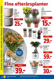 Lidl tilbudsavis uge 39 Side 28