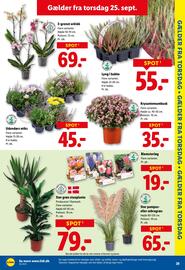Lidl tilbudsavis uge 39 Side 29