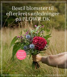 Bilka tilbudsavis uge 38 Side 29