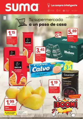 Folleto Suma Supermercados (válido hasta el 30-09)