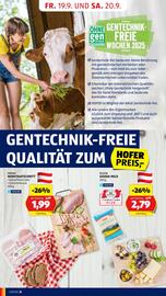Hofer Flugblatt woche 38 Seite 10