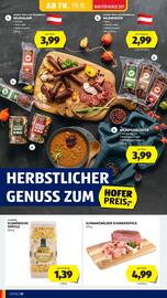 Hofer Flugblatt woche 38 Seite 12