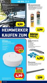 Hofer Flugblatt woche 38 Seite 38
