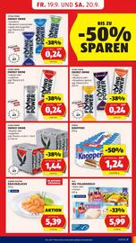 Hofer Flugblatt woche 38 Seite 9