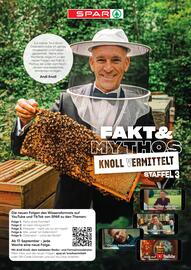 Spar Flugblatt woche 38 Seite 17