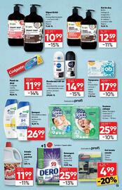 Catalog PROFI Pagină 13