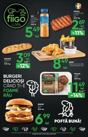 Catalog PROFI Pagină 18