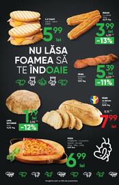 Catalog PROFI Pagină 19