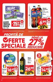 Catalog PROFI Pagină 2