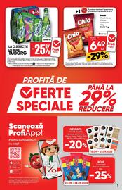 Catalog PROFI Pagină 3