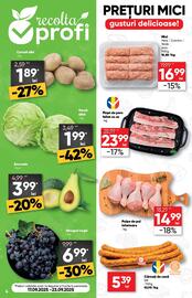 Catalog PROFI Pagină 4