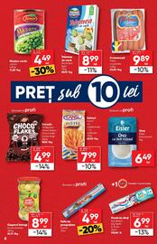 Catalog PROFI Pagină 8