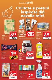 Catalog PROFI Pagină 9