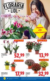 Catalog Lidl săptămâna 39 Pagină 44