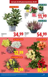 Catalog Lidl săptămâna 39 Pagină 45