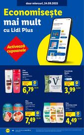 Catalog Lidl săptămâna 39 Pagină 46