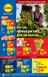 Catalog Lidl săptămâna 39 Pagină 5