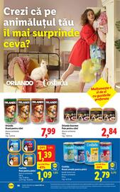 Catalog Lidl săptămâna 39 Pagină 58