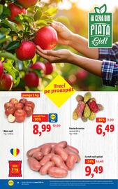 Catalog Lidl săptămâna 39 Pagină 8