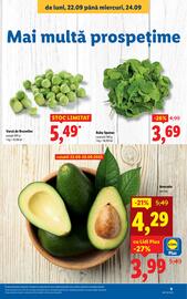 Catalog Lidl săptămâna 39 Pagină 9