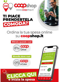 Volantino Ipercoop Pagina 13