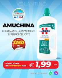 Volantino Amato Point settimana 38 Pagina 4