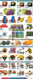 Big Y flyer week 38 Page 12