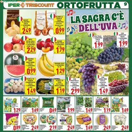 Volantino Iper Triscount Pagina 9