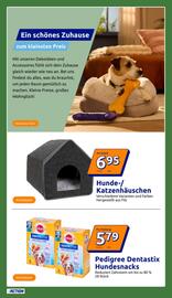 Action Flugblatt woche 38 Seite 21