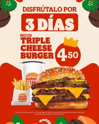 Catálogo Burger King (válido hasta 17-09)