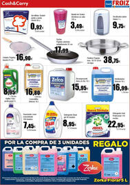 Folleto Cash FROIZ Página 13