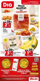 Folleto Dia Fresh semana 38 Página 1