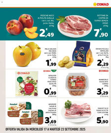 Volantino Conad settimana 38 Pagina 2