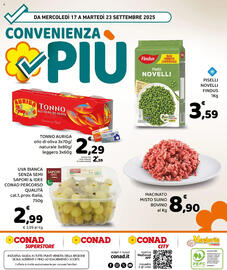 Volantino Conad settimana 38 Pagina 8