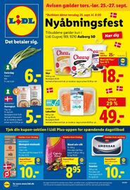 Lidl tilbudsavis Side 1