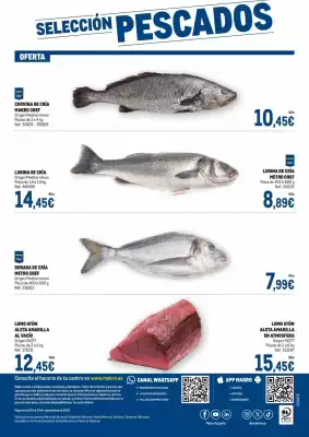 Catálogo Makro (válido hasta el 29-09)