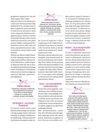 Hebe gazetka Strona 135